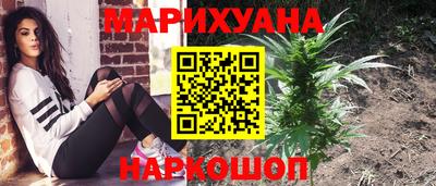 прущие грибы Камышлов